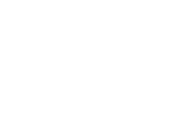 EMAIL NOTIFICATION